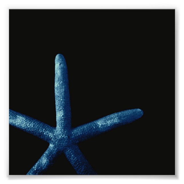 Blue Starfish Photo Print (Front)
