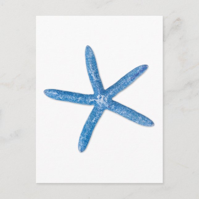 Blue Starfish Postcard (Front)