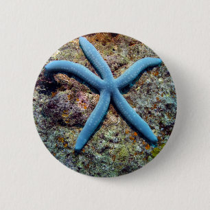 Blue starfish tropical ocean Raja Ampat Islands 6 Cm Round Badge