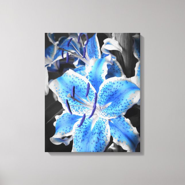 Blue Stargazer Wrapped Canvas (Front)