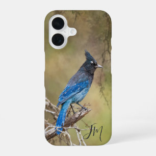 Blue Stellar's Jay Bird Painting Custom Name iPhone 16 Case