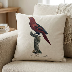 Blue-Streaked Lory, Trichoglossus reticulatus Cushion