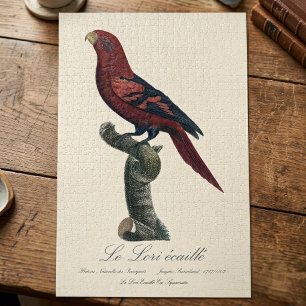 Blue-Streaked Lory, Trichoglossus reticulatus Jigsaw Puzzle