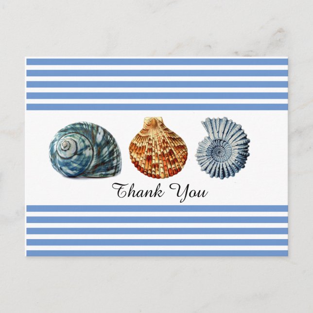 Blue Stripe with Sea Shells Postcard (Front)