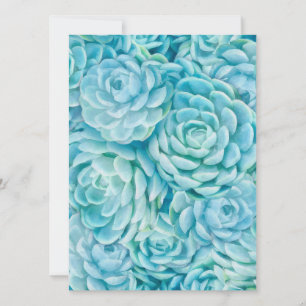 Blue succulents