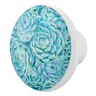 Blue succulents ceramic knob