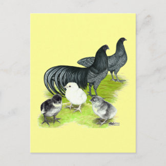 Blue Sumatra Family Postcard