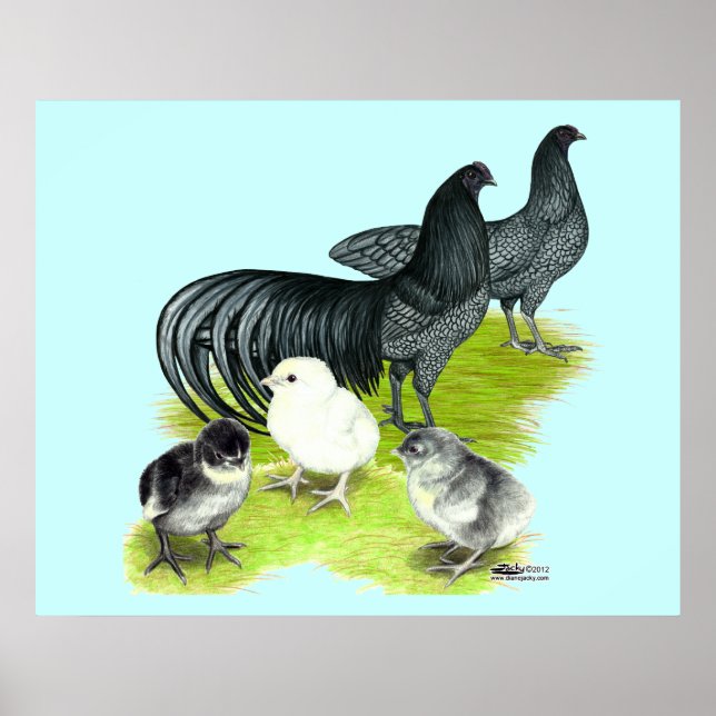 Blue Sumatra Family Poster (Front)