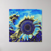Blue Sunflower
