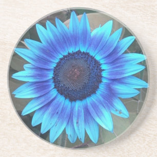 Blue Sunflower Coaster