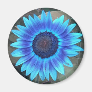 Blue Sunflower Magnet