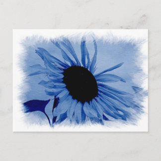 Blue Sunflower Postcard