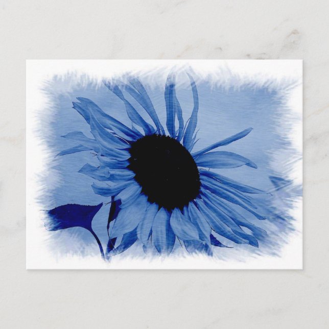 Blue Sunflower Postcard (Front)