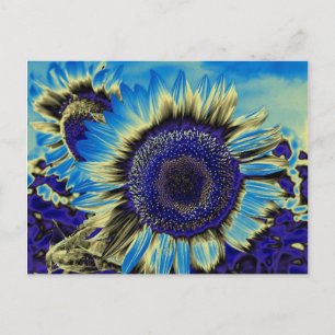 Blue Sunflower Postcard