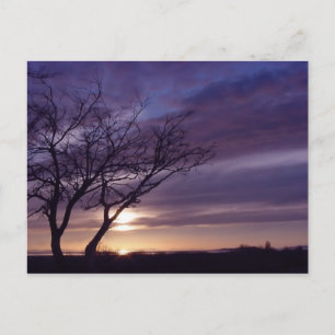 Blue Sunset Postcard