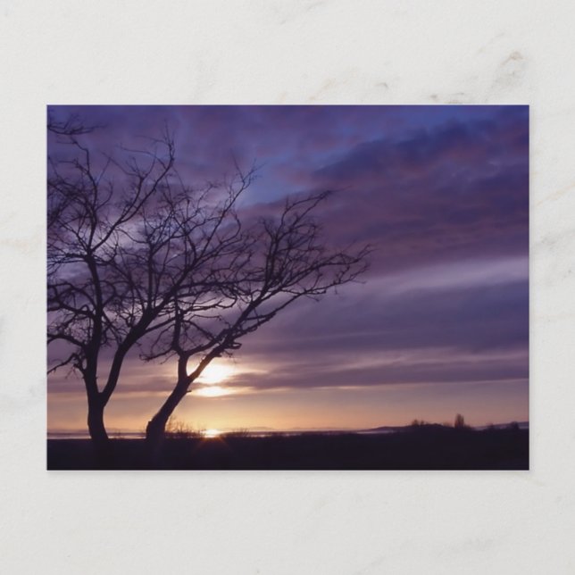 Blue Sunset Postcard (Front)