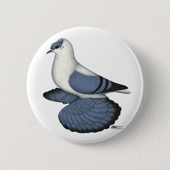 Blue Swallow Pigeon 6 Cm Round Badge (Front)