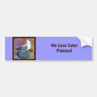 Blue Swallow Pigeon Framed Bumper Sticker
