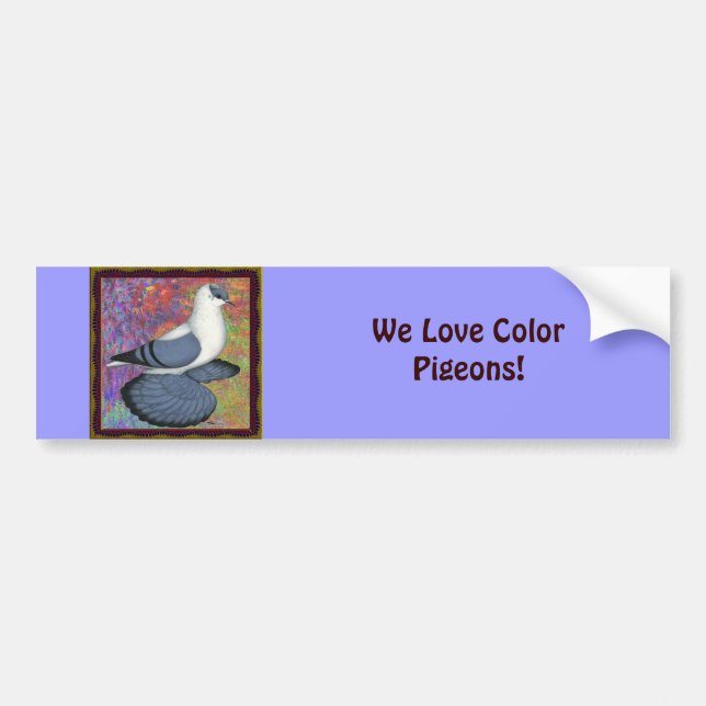 Blue Swallow Pigeon Framed Bumper Sticker (Front)