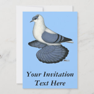 Blue Swallow Pigeon Invitation