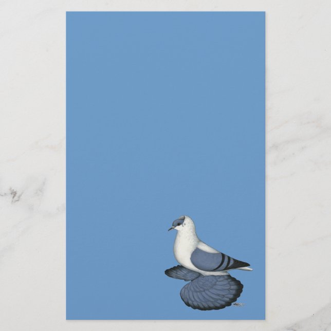 Blue Swallow Pigeon Stationery (Front)