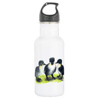 Blue Swedish Ducklings 532 Ml Water Bottle