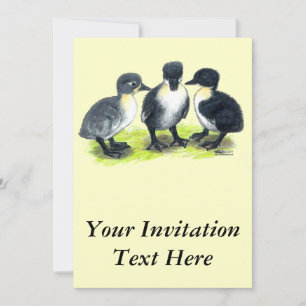 Blue Swedish Ducklings Invitation