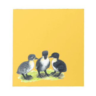 Blue Swedish Ducklings Notepad