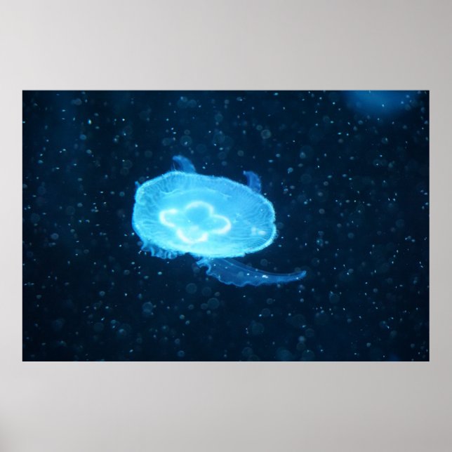 Blue Swimming Jellyfish Poster (Front)