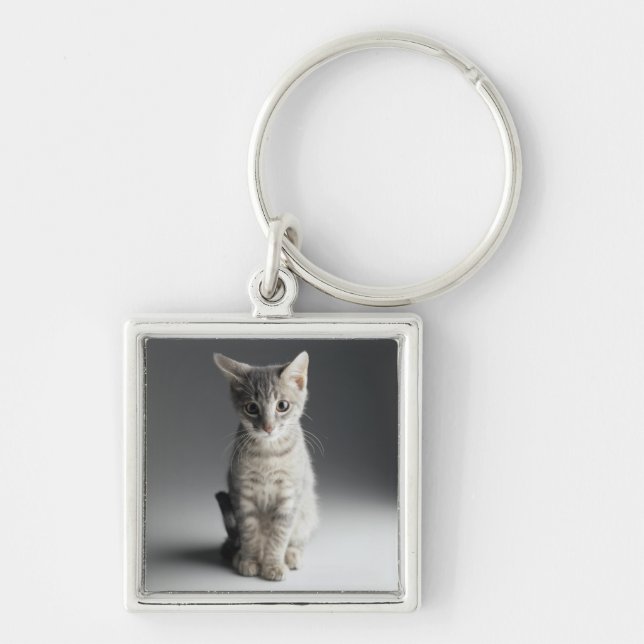 Blue Tabby Kitten Key Ring (Front)