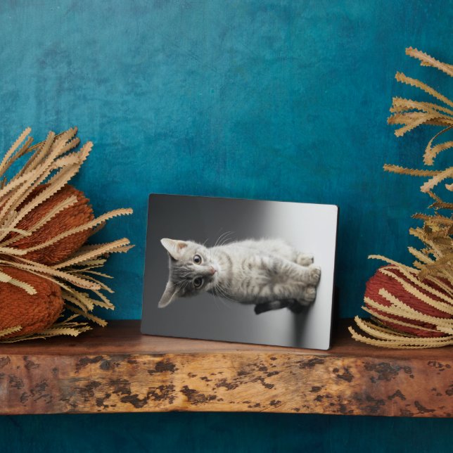 Blue Tabby Kitten Plaque (Side)