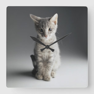 Blue Tabby Kitten Square Wall Clock