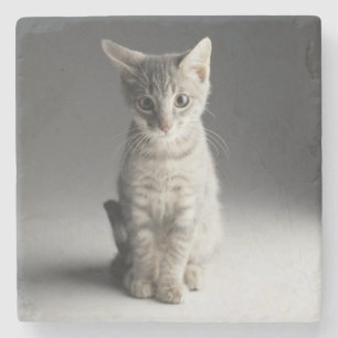 Blue Tabby Kitten Stone Coaster