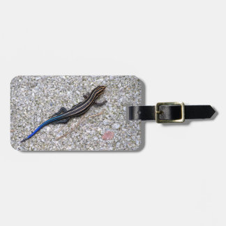 Blue Tailed Skink Luggage Tag