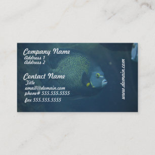 Blue Tang Fish Business Card