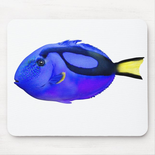 Blue Tang Saltwater Fish Mouse Pad (Front)
