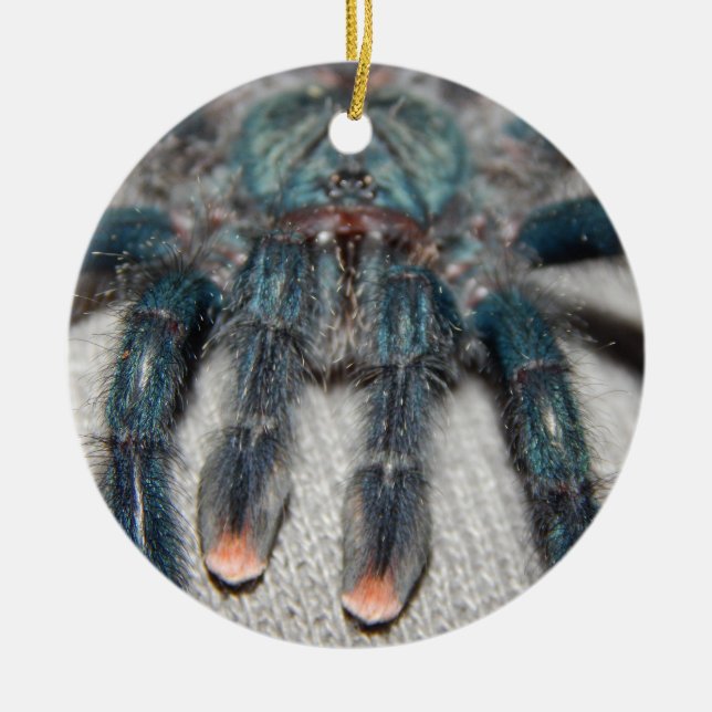 blue tarantula ceramic tree decoration (Front)