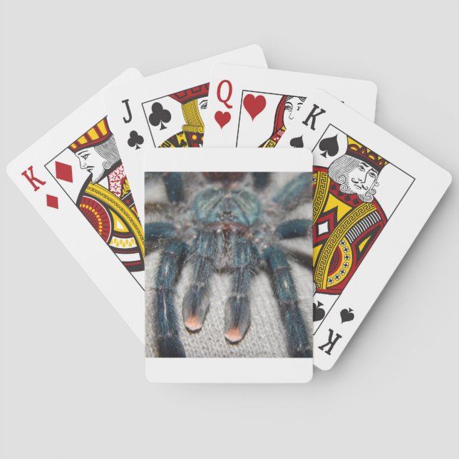 blue tarantula playing cards (Back)