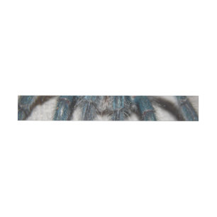 blue tarantula wraparound address label