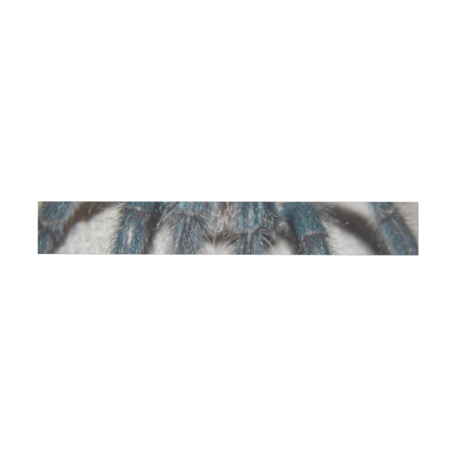 blue tarantula wraparound address label (Individual)