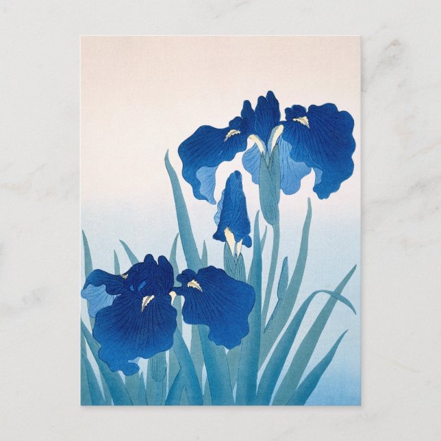 Blue & Teal Irises Thank You Postcard (Front)