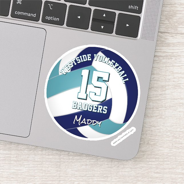 blue teal team colours volleyball player (Detail)