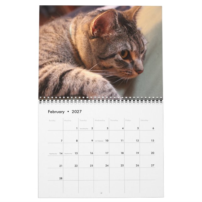 Blue the Cat - Calendar 2021 (Feb 2027)