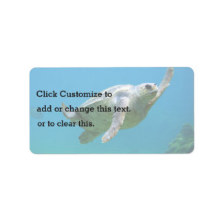 Blue Themed, A Sea Turtle Swims In Clear Blue Wate Label