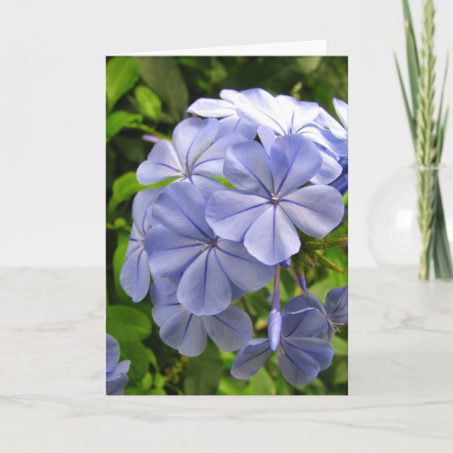 Blue Thinking of You Card (Front)