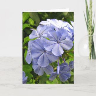 Blue Thinking of You Card