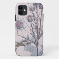 Blue Thistle