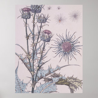 Blue Thistle Poster