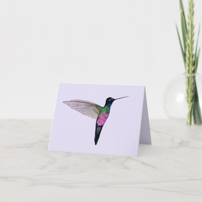 Blue-throated Starfrontlet Hummingbird Card (Front)