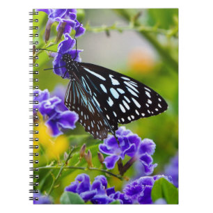 Blue tiger butterfly notebook